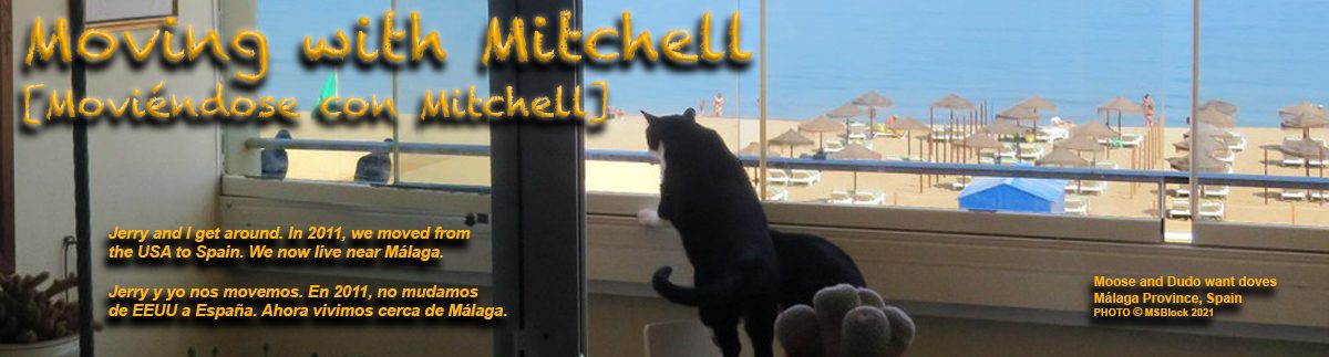 Moving with Mitchell