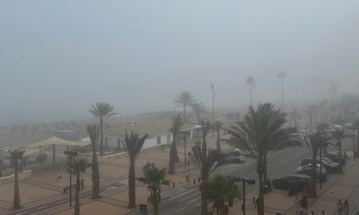 The fog / La bruma