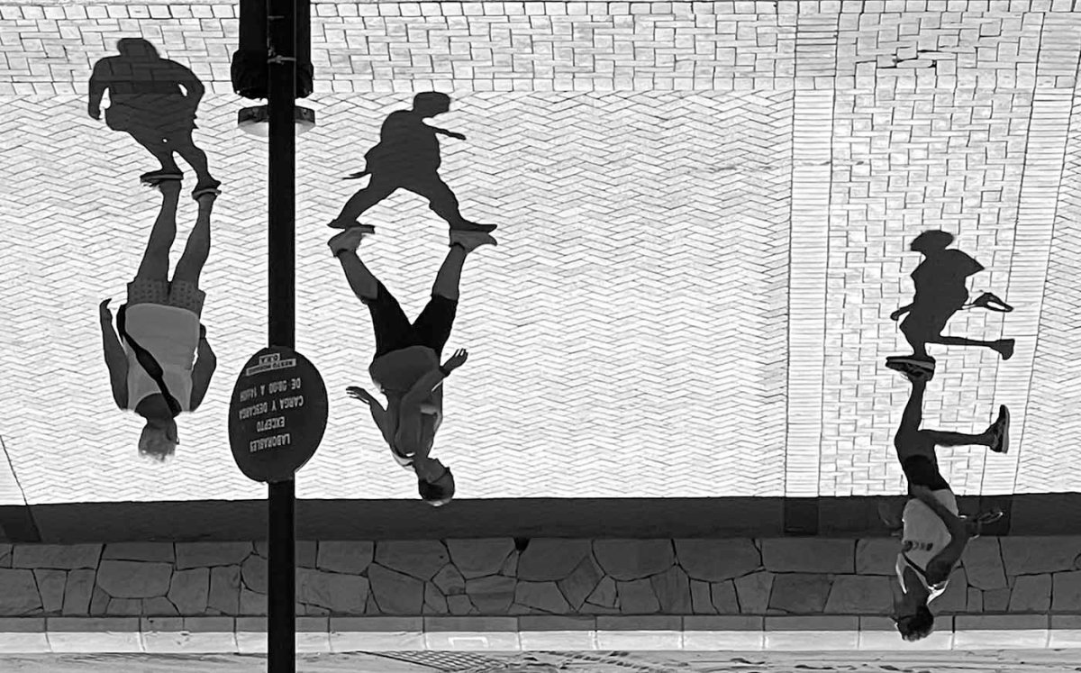 Dogs, bagpipe, penguin / Perros, gaita, pingüino