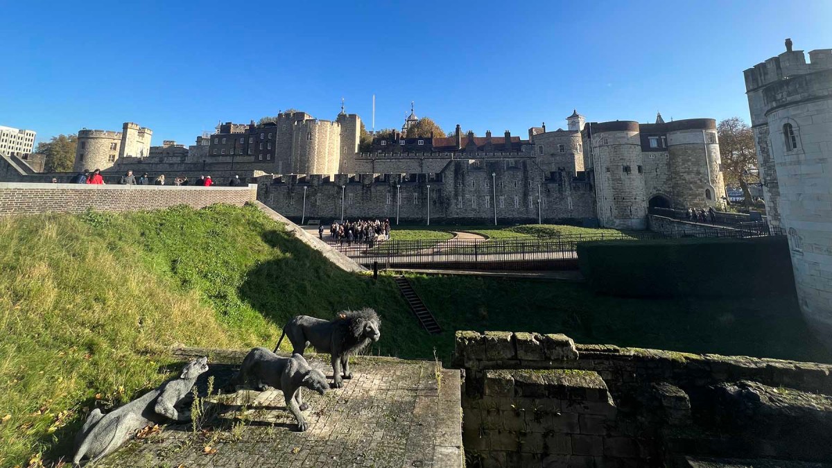 Quoth the raven / Dijo el cuervo