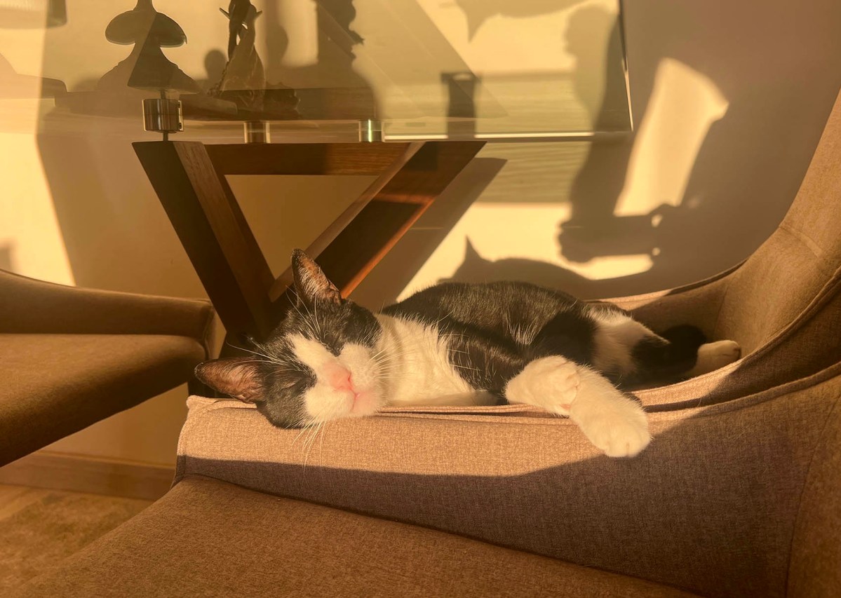 Simple pleasures / Placeres simples