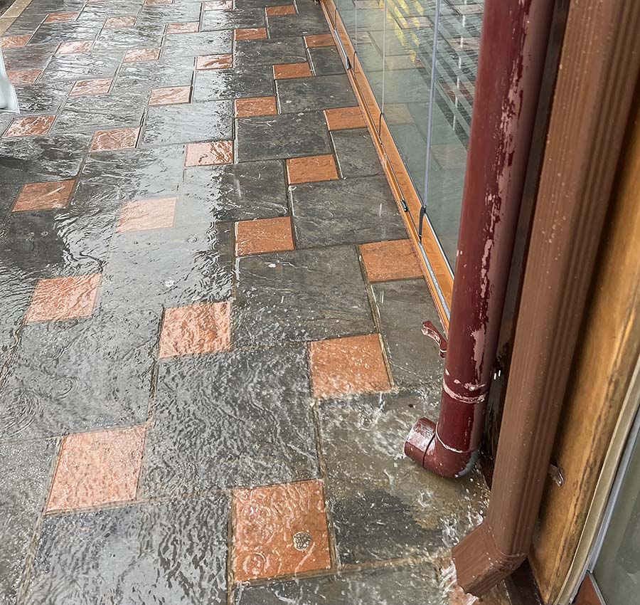 Puchero, picadillo, and puddles / Puchero, picadillo y charcos