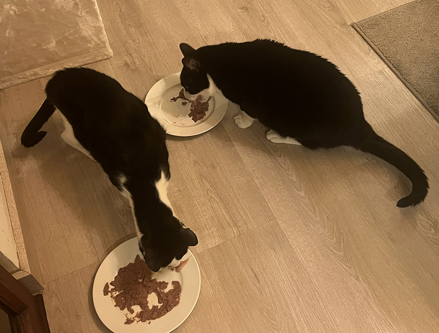 Go directly to jail / Ir directamente a la carcel