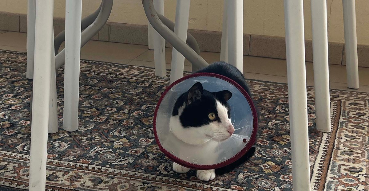 Soggy Saturday / Sábado empapado