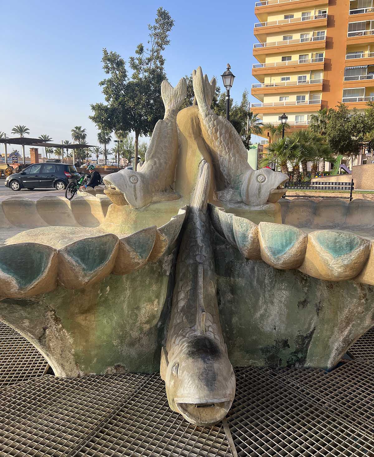 A fish out of water near Colorado / Un pez fuera del agua cerca de Colorado