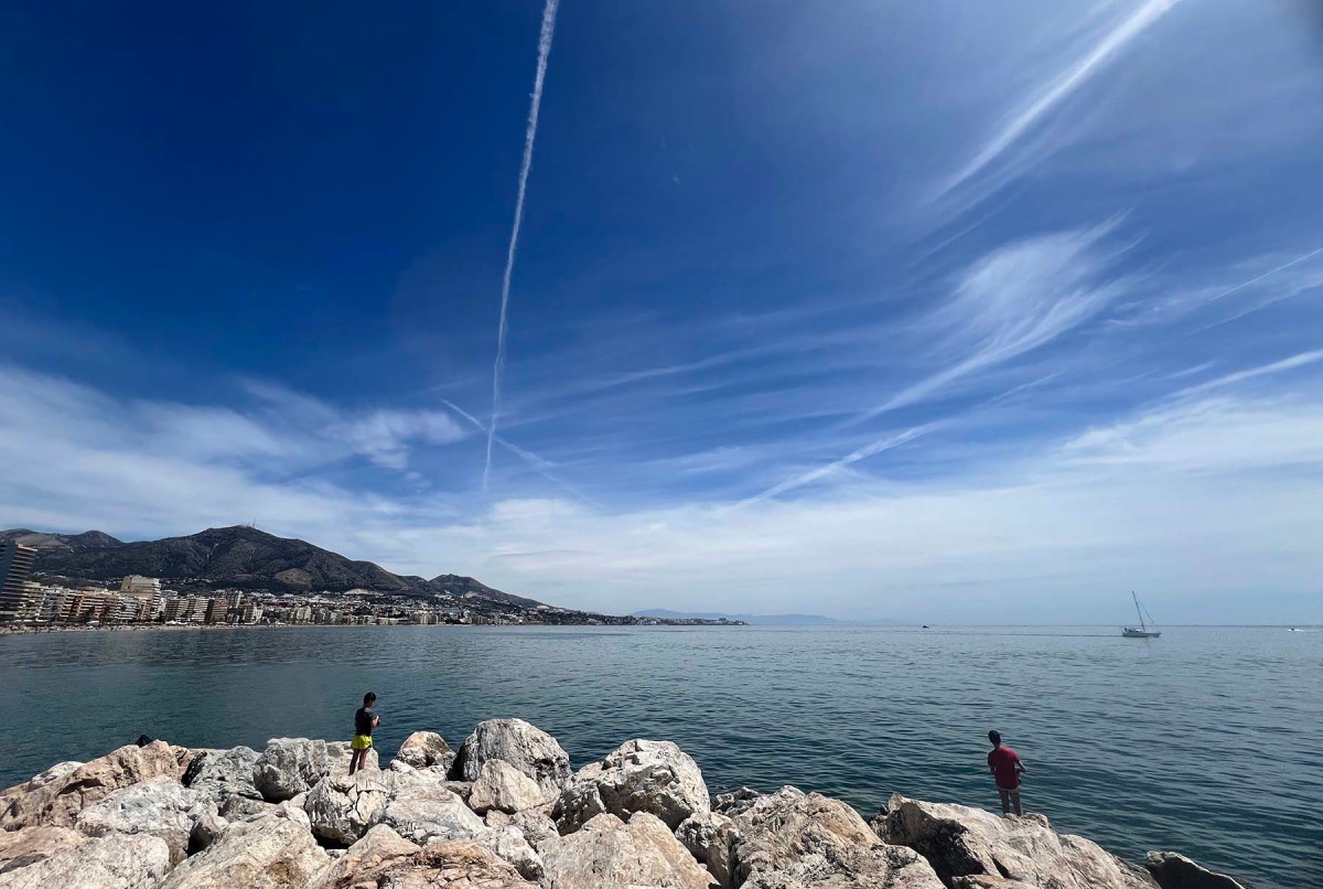Urchin, dragon, whale, fish spit / Erizo, dragón, ballena, espeto
