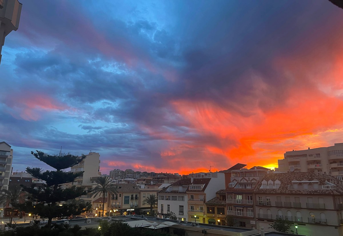 Cats, thatch, and long poles / Gatos, paja, y palos largos