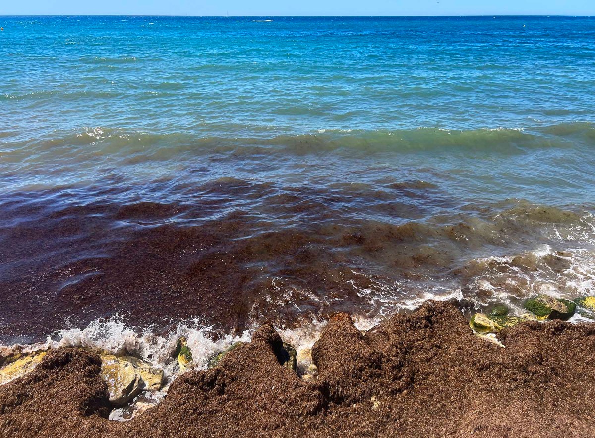 Color my world / Colorea mi mundo