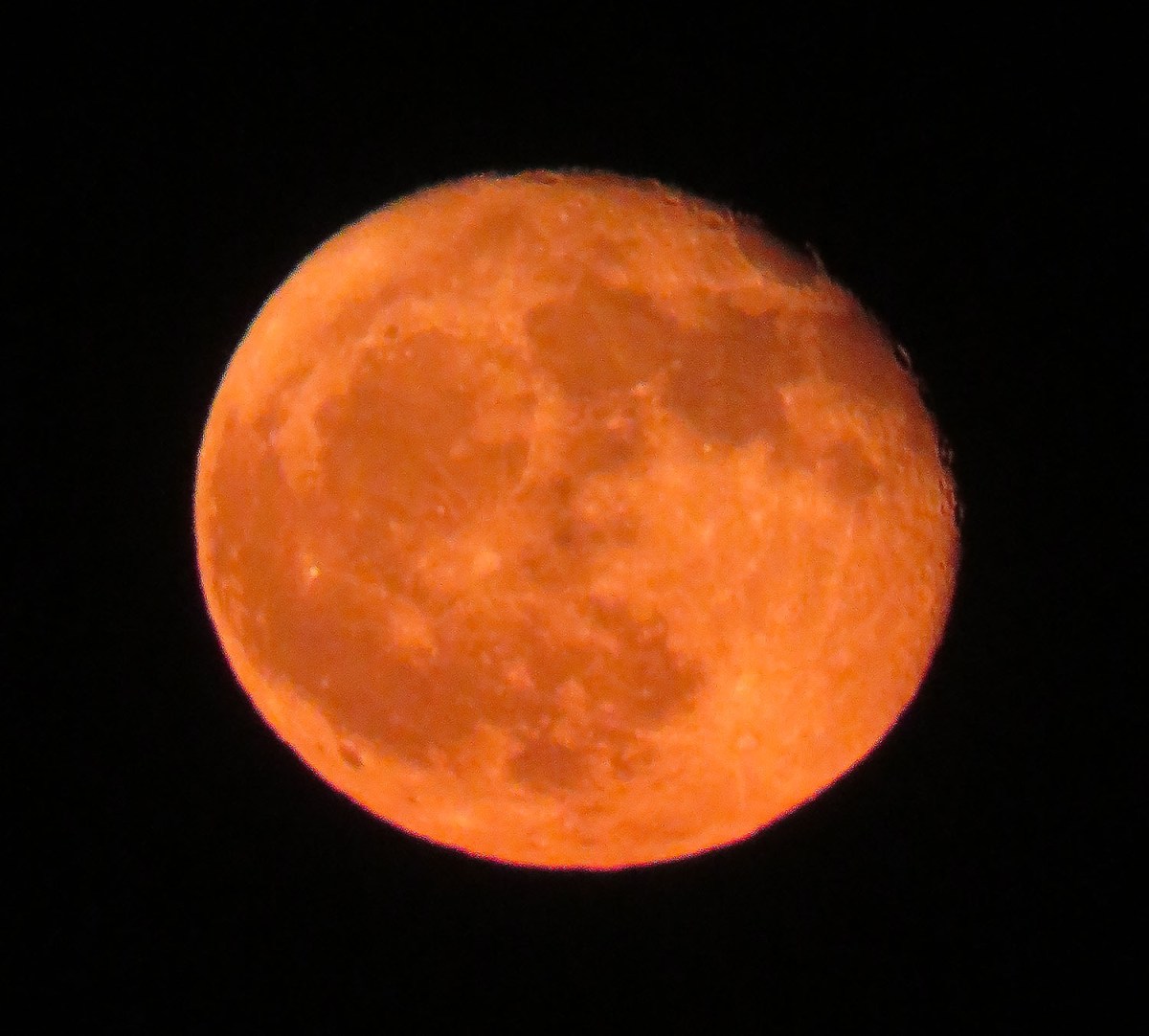 Saint John and the White Night / San Juan y la Noche Blanca