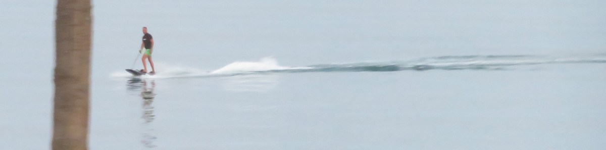 Purpose and fried brie / Propósito y queso frito