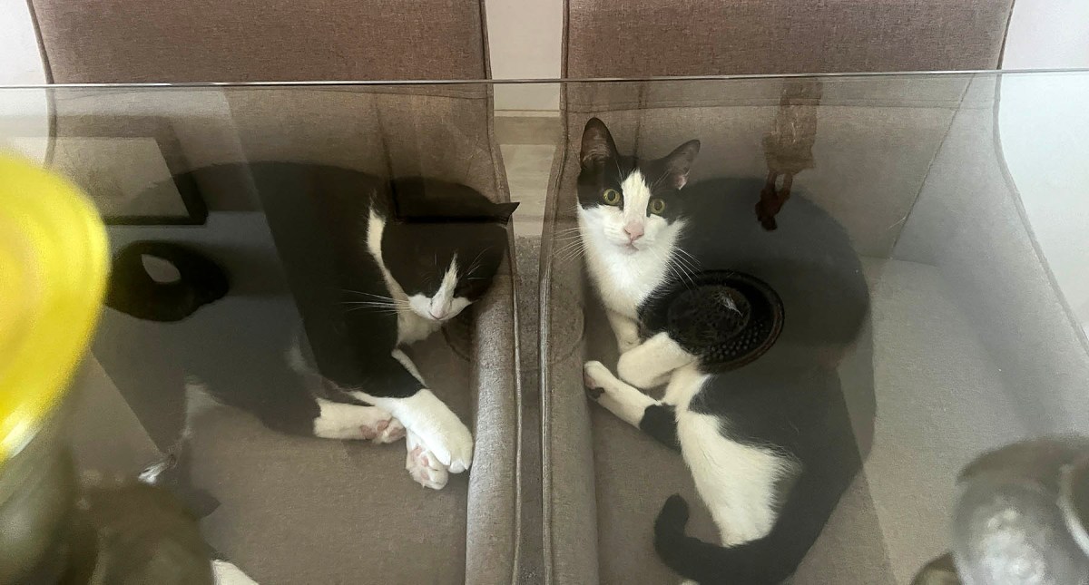 Traffic on the high sea / Tráfico en alta mar