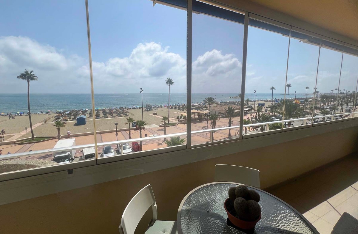 Clean screen and hot cats / Mosquitera limpia y gatos calientes