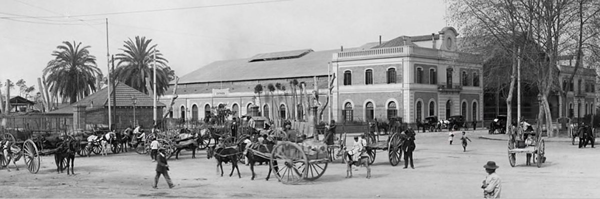 María Zambránova Zeebrugge