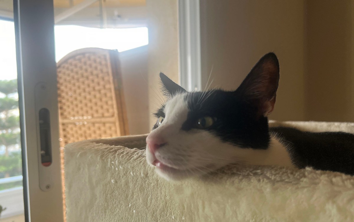 Rooms to let 50 cents / Habitaciones en alquiler 50 céntimos