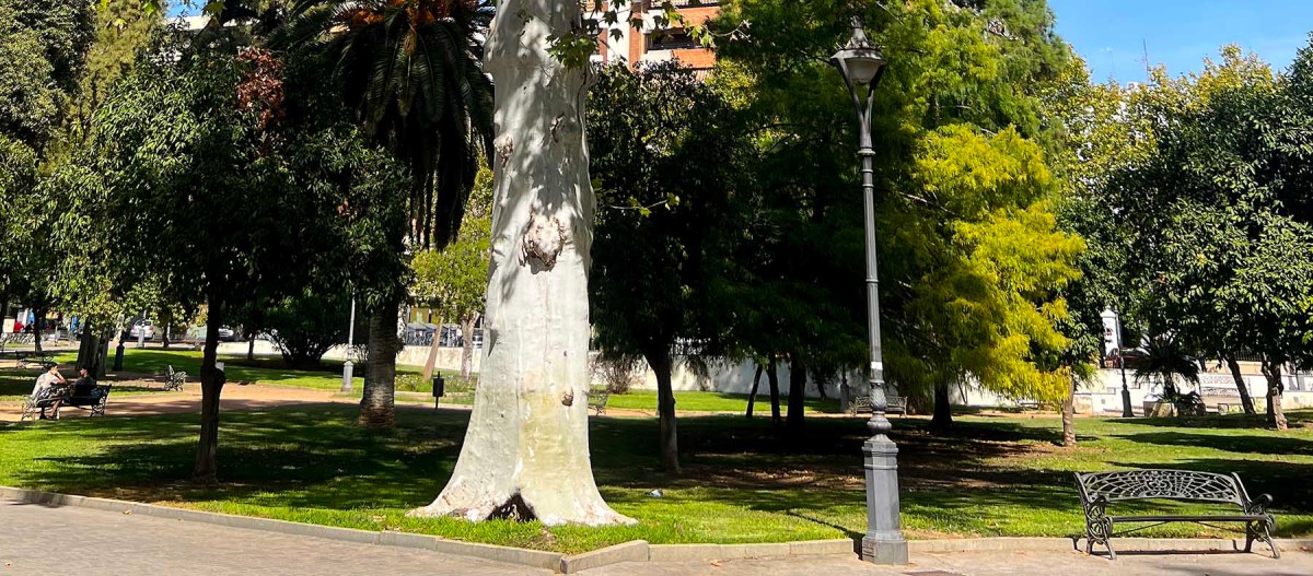 Points north / Apunta al norte