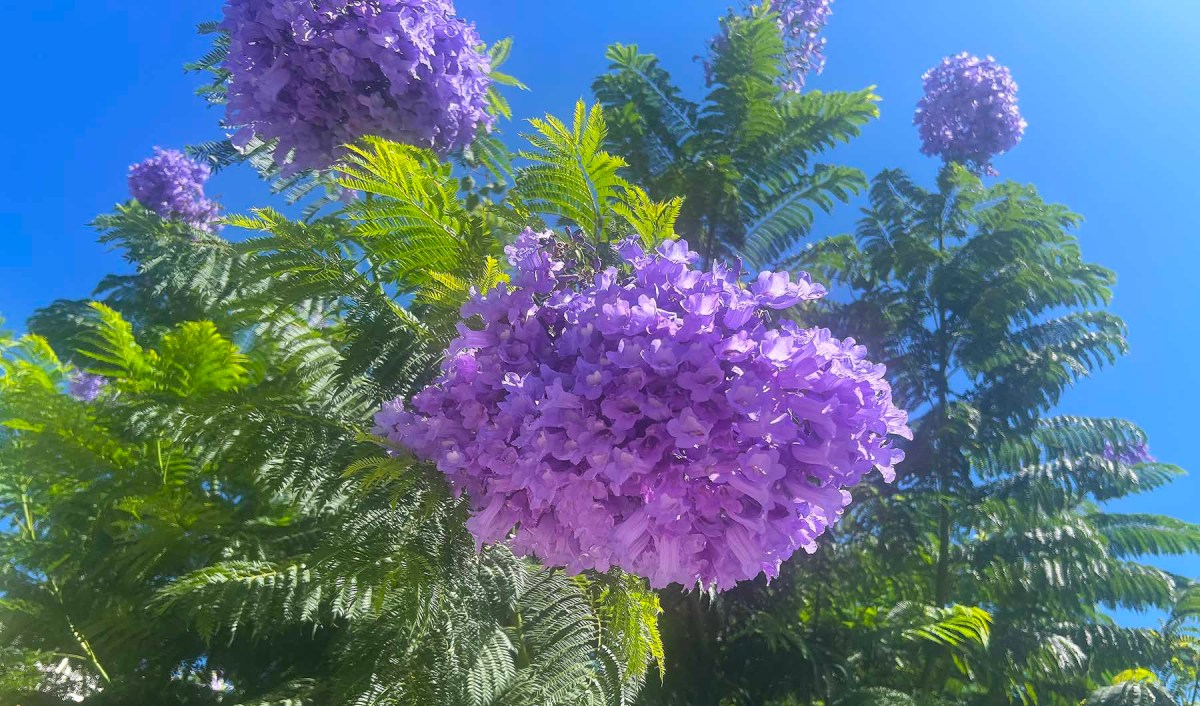 Honeymoon pajamas / Pijamas de luna de miel