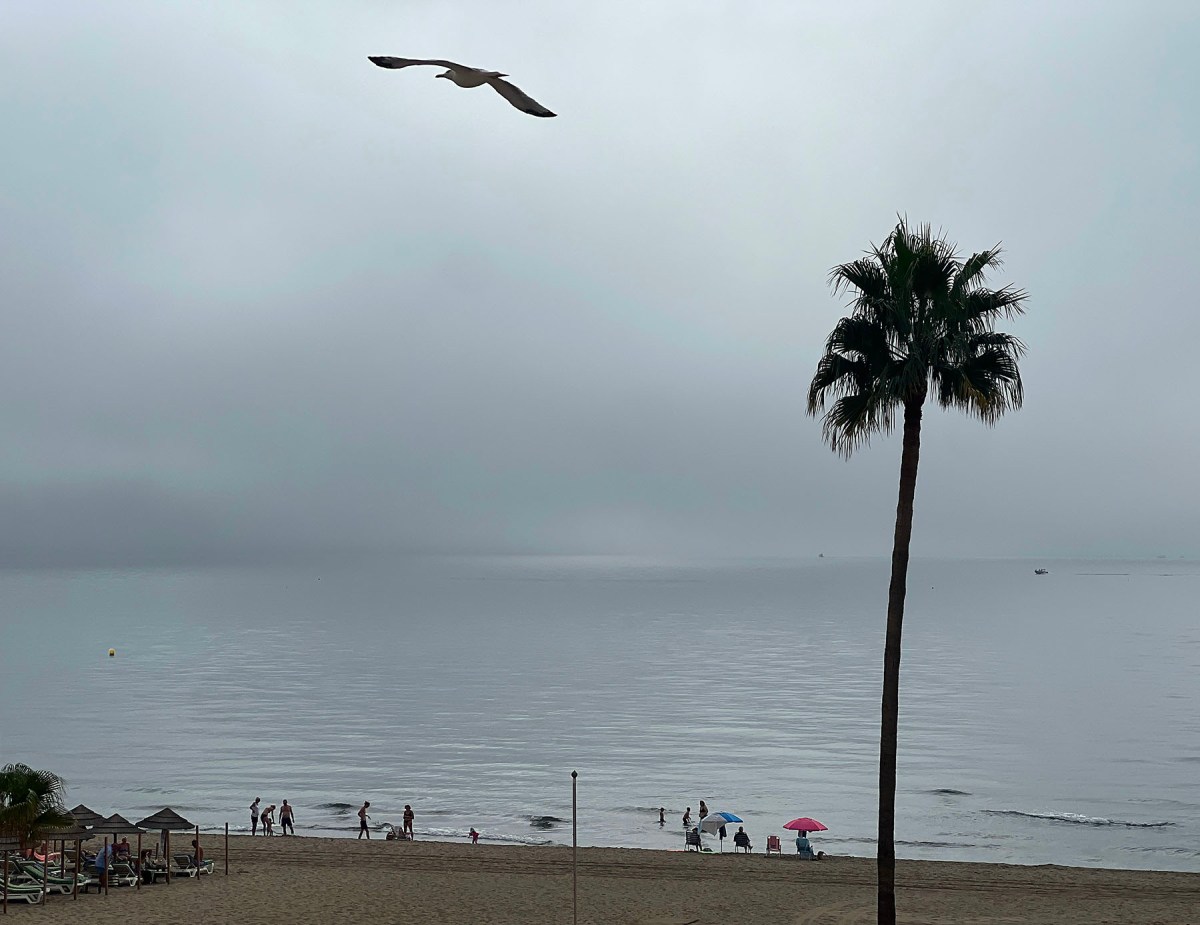 Man in the mirror / Hombre en el espejo