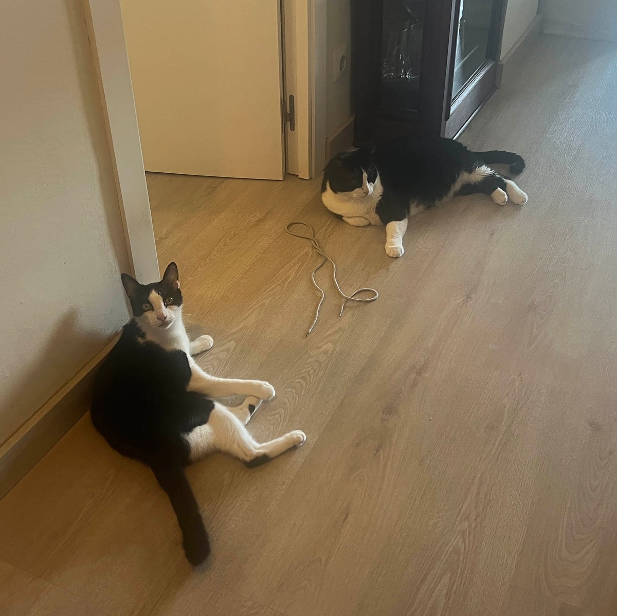 A man a plan / Un hombre un plan