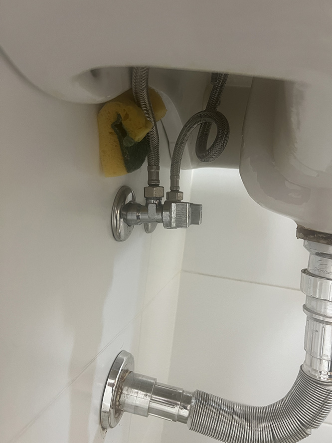 Incoming! Sponge! / ¡Entrante! ¡Esponja!