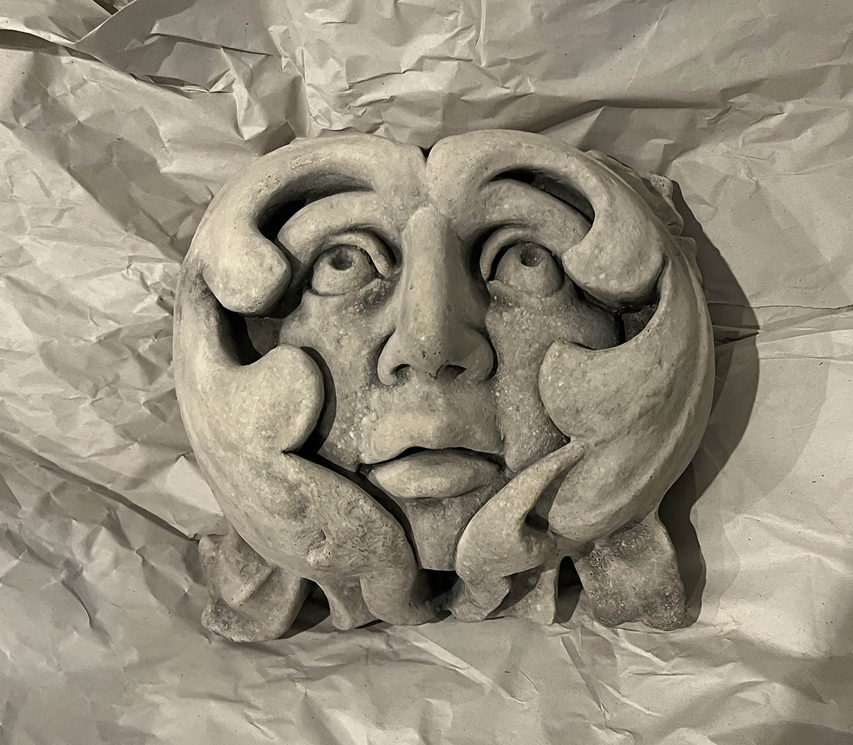 Cat fish, cooties, connections, and Olivia / Peces gato, piojos, conexiones, y Olivia