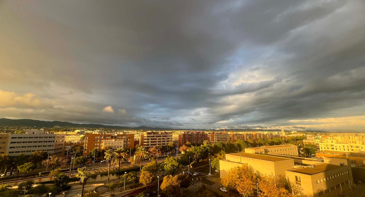 Red alert / Alerta roja