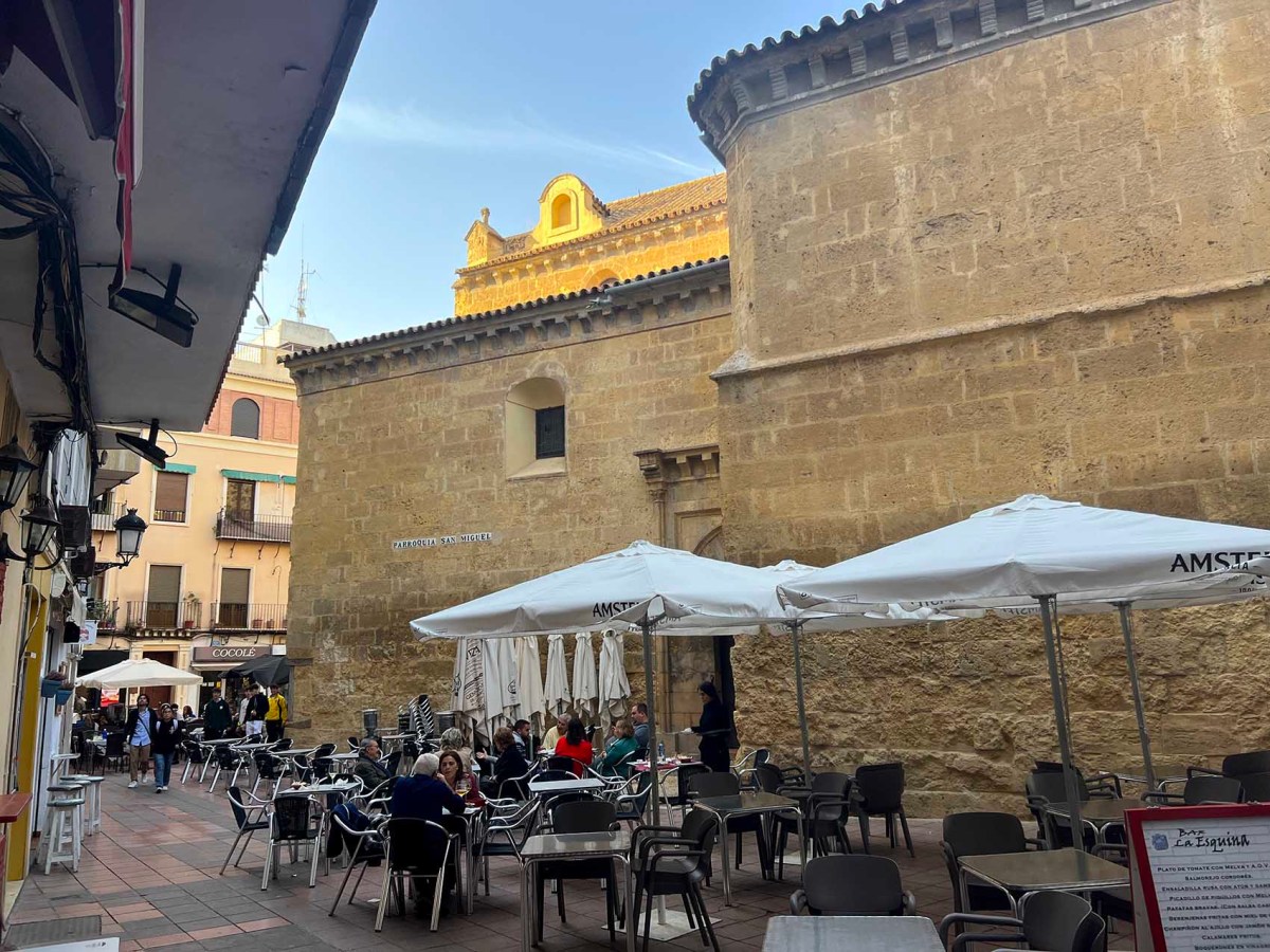 Cervantes, Renaissance bubble, pigeon head, fish spit / Cervantes, burbuja renacentista, cabeza de paloma, escupe de pescado