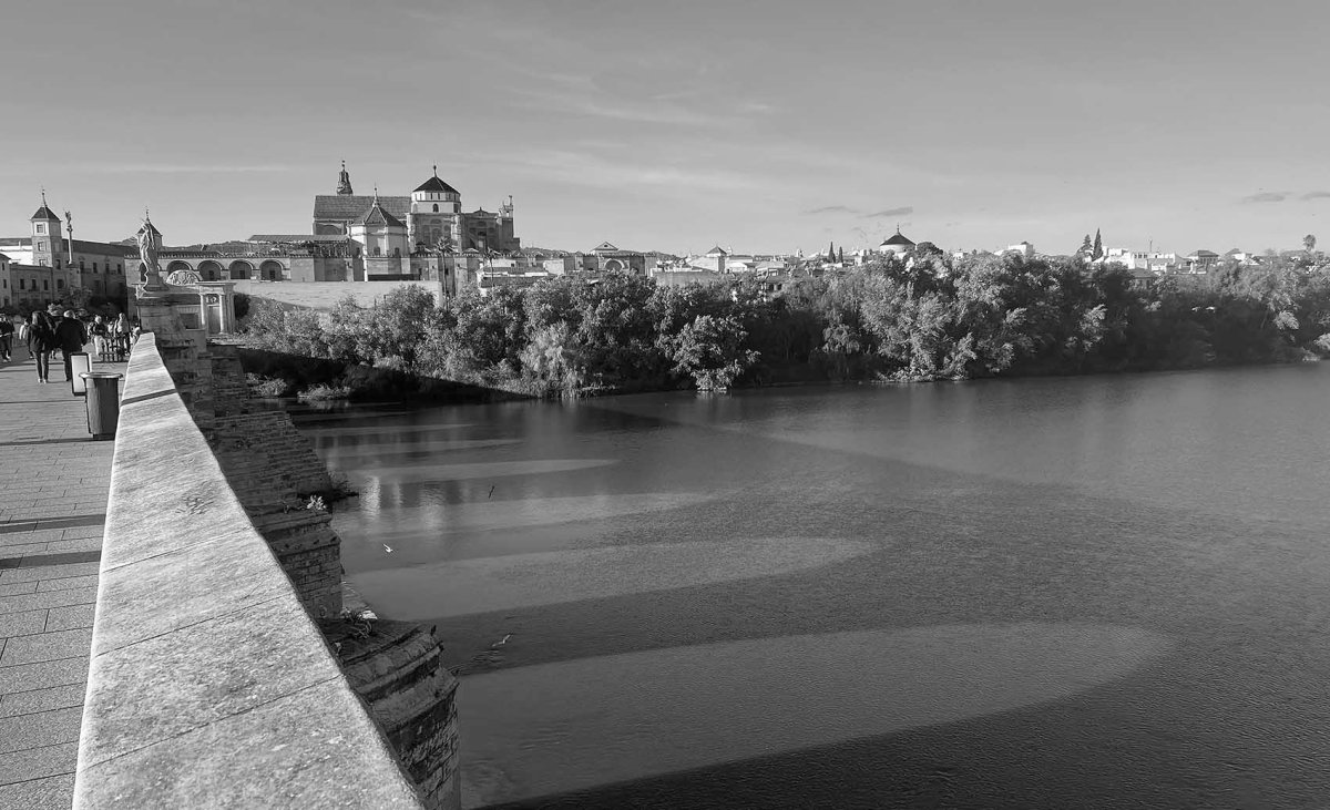 Plumbing the depths and not well hung / Sondeando las profundidades y no bien colgado