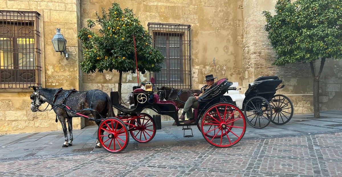 The comfy chair / La silla cómoda