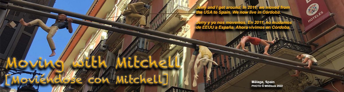 Moving with Mitchell