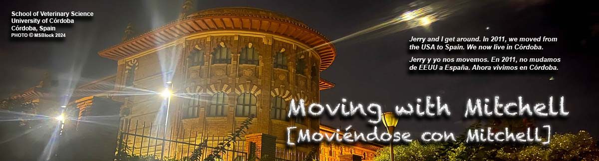 Moving with Mitchell