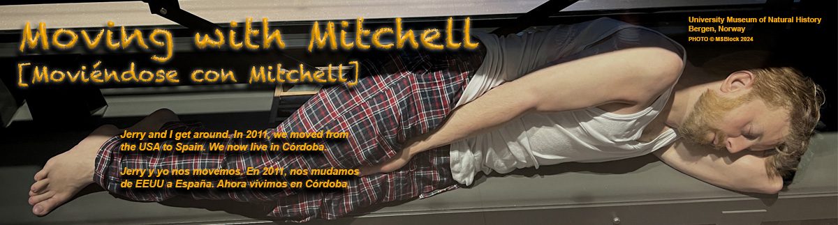 Moving with Mitchell