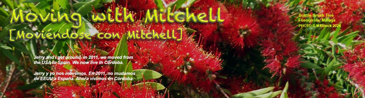 Moving with Mitchell