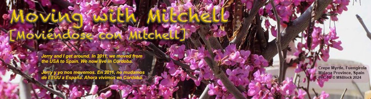 Moving with Mitchell