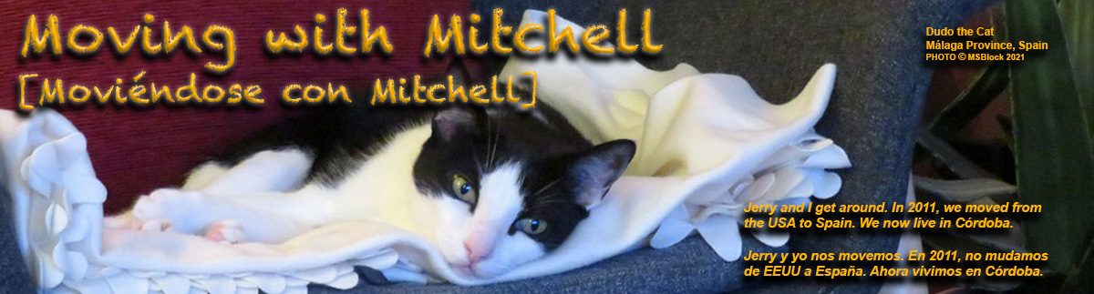 Moving with Mitchell