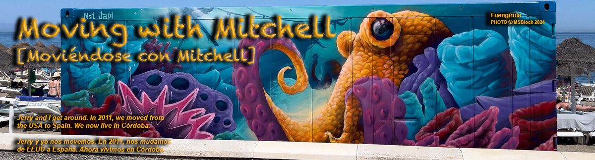 Moving with Mitchell