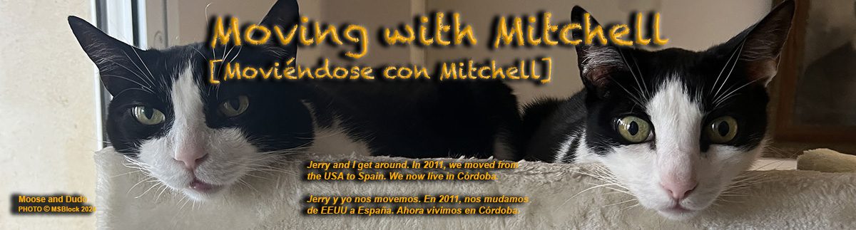 Moving with Mitchell