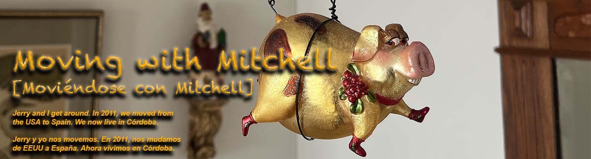 Moving with Mitchell