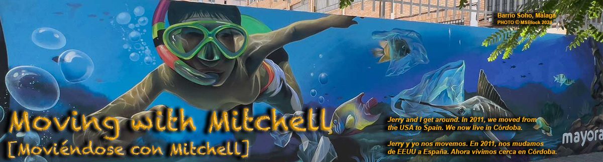 Moving with Mitchell