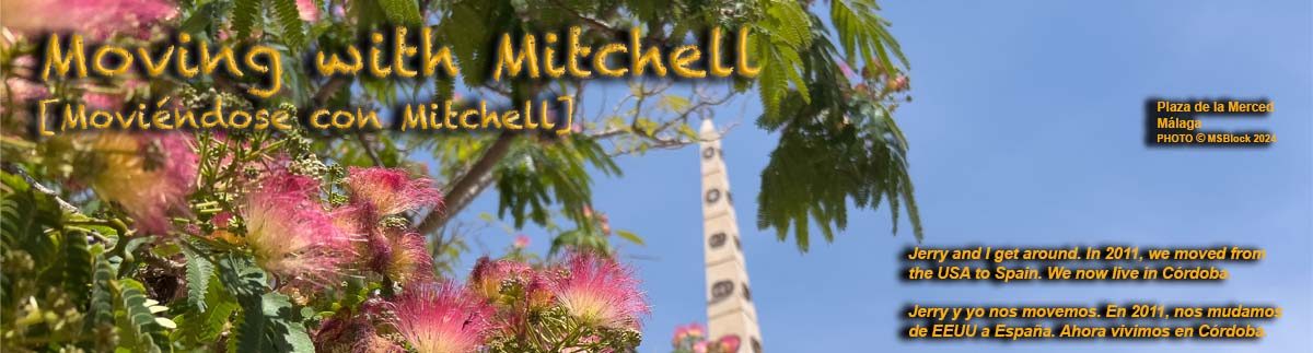 Moving with Mitchell