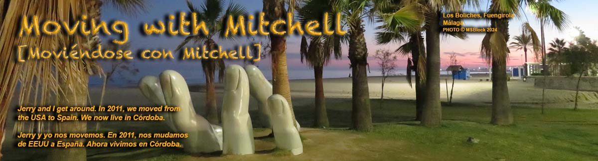 Moving with Mitchell