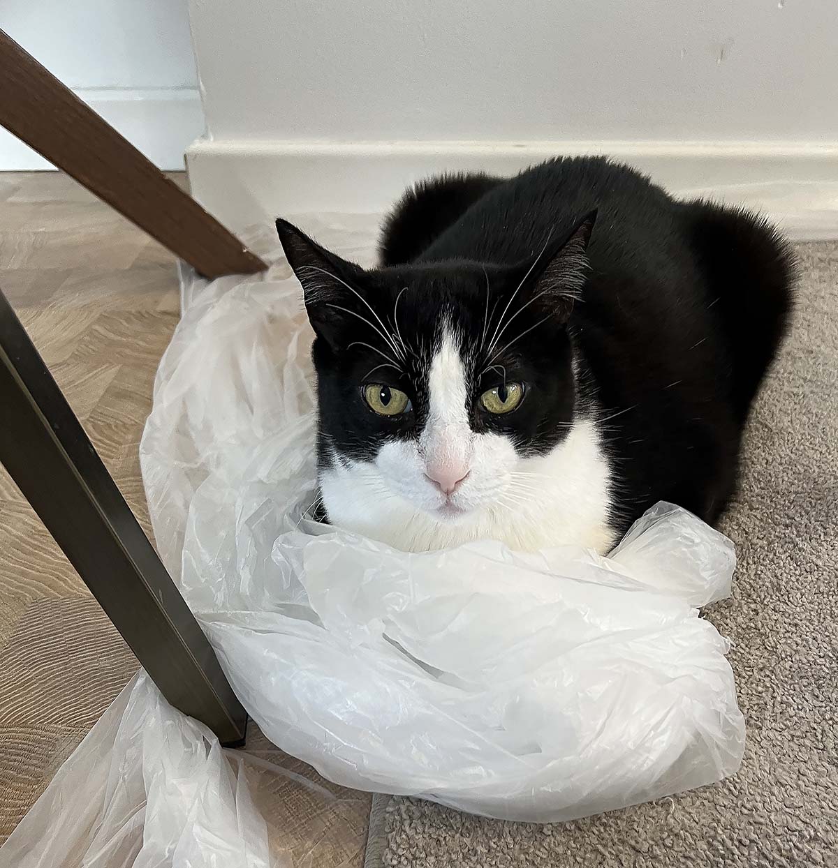 Saint Nick, Burger King, glass ceiling / San Nicolas, techo de cristal