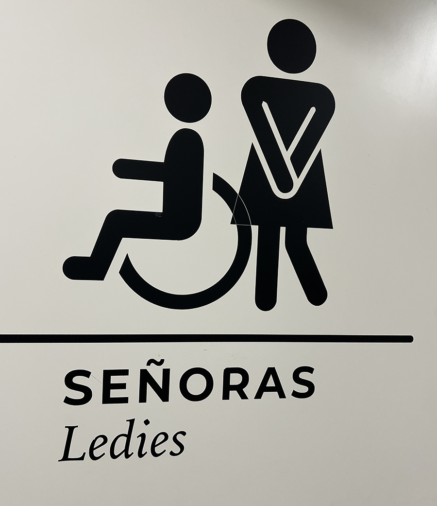 Glaswegians and a bug / Glasgowianos y un bicho