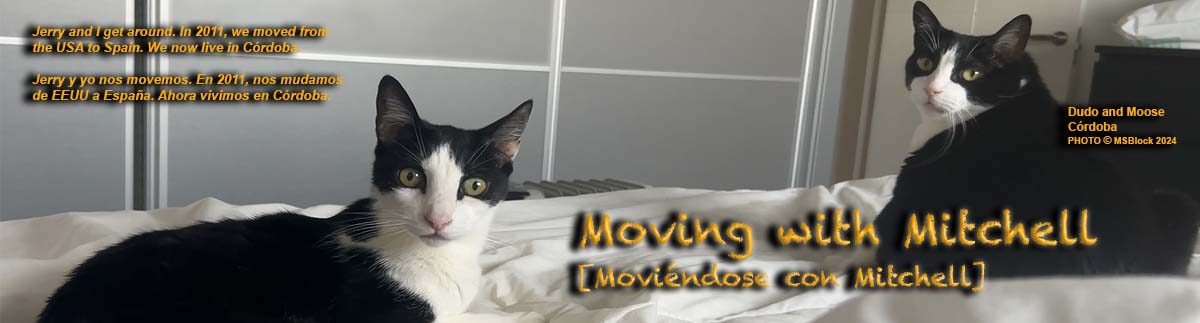 Moving with Mitchell