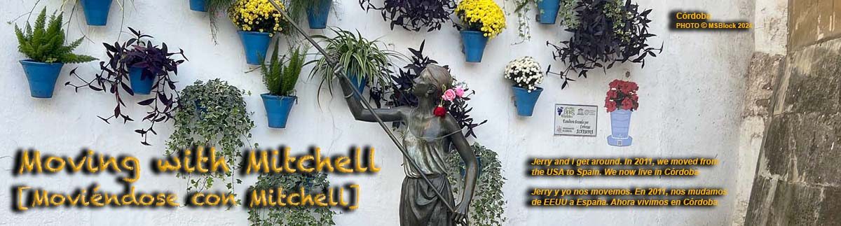 Moving with Mitchell