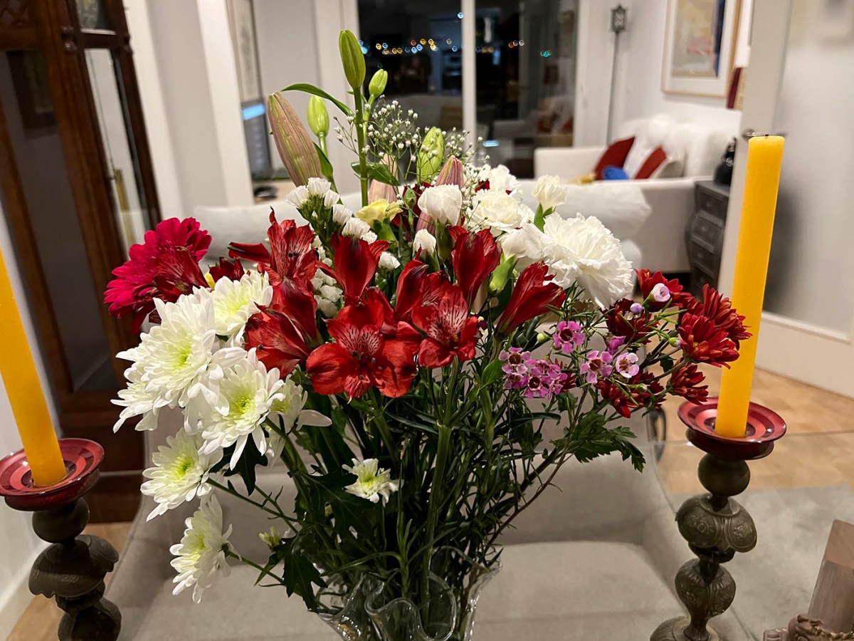 Friendship and brotherly love / Amistad y amor fraternal