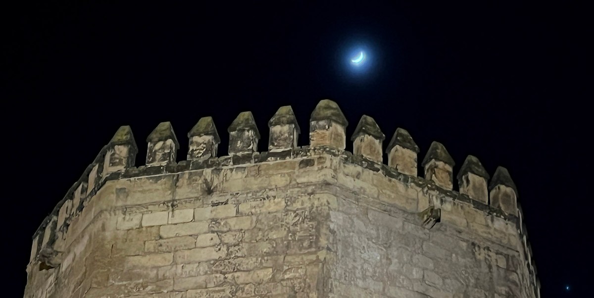 After the parade passes by / Después de que pase la cabalgada