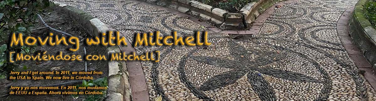 Moving with Mitchell