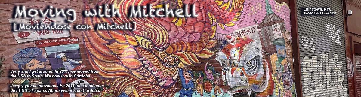 Moving with Mitchell