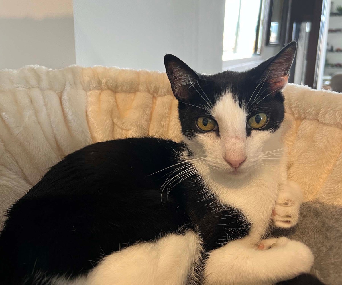 Sorry, no refunds! / Lo sentimos, ¡no hay reembolsos!