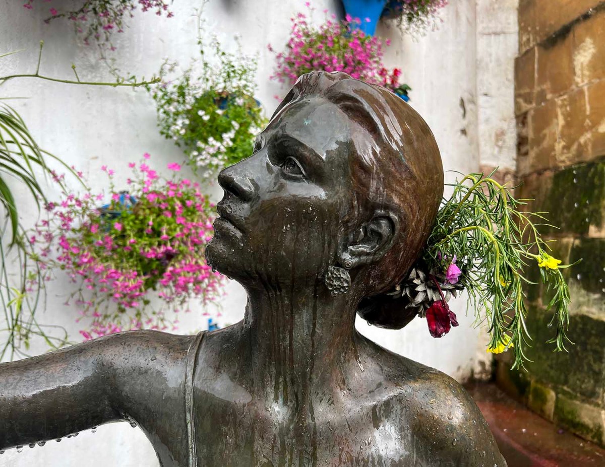 Drip, drip, drip / Goteo, goteo, goteo